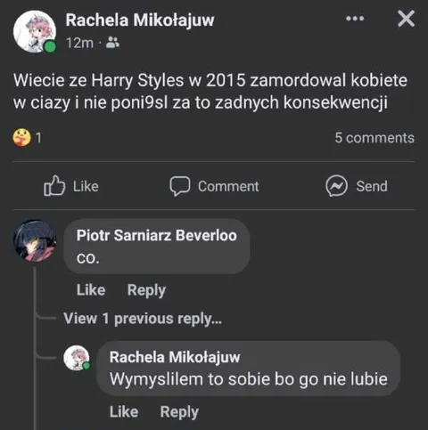 Harry Styles i zmyślona historia
