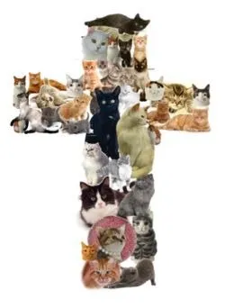 Кошки в форме цифры 4
