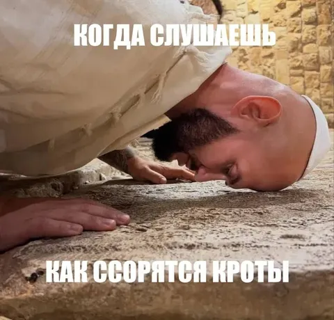 Как ссорятся кроты