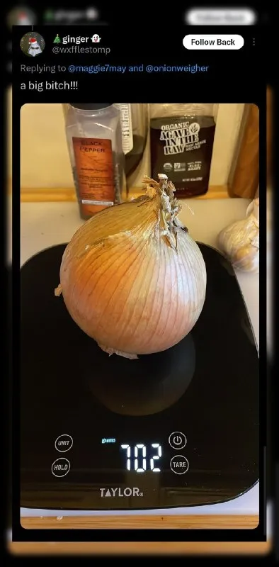 A Big Bitch Onion