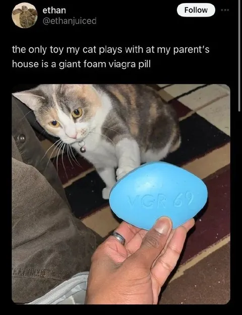 Cat’s Giant Foam Viagra Toy