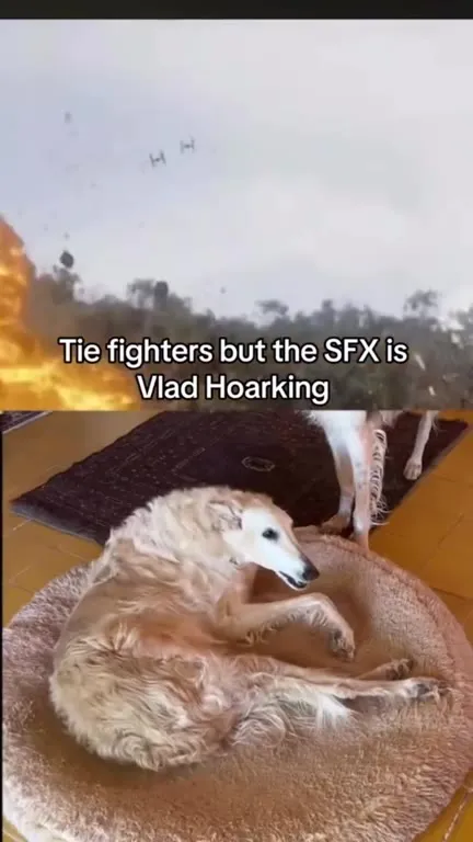 TIE Fighters With Borzoi Sound Effects