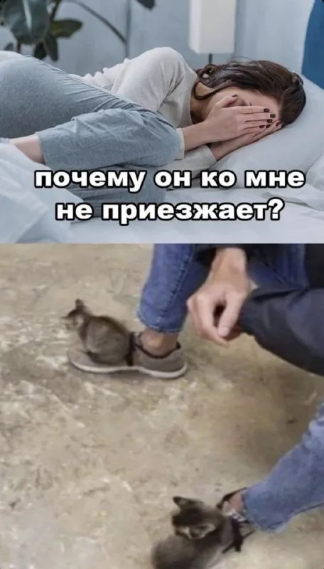 Почему он ко мне не приезжает