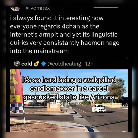 4chan Slang Goes Mainstream