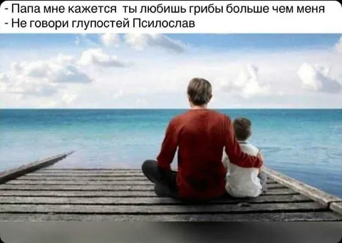 Папа любит грибы больше сына