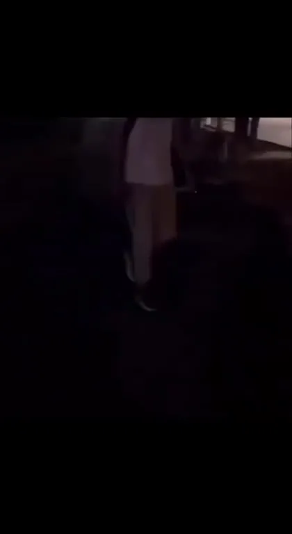 Случайно газанул на агрочела