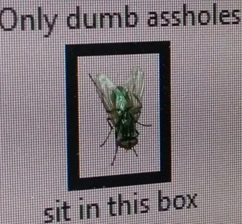 Only Dumb Assholes Sit Here