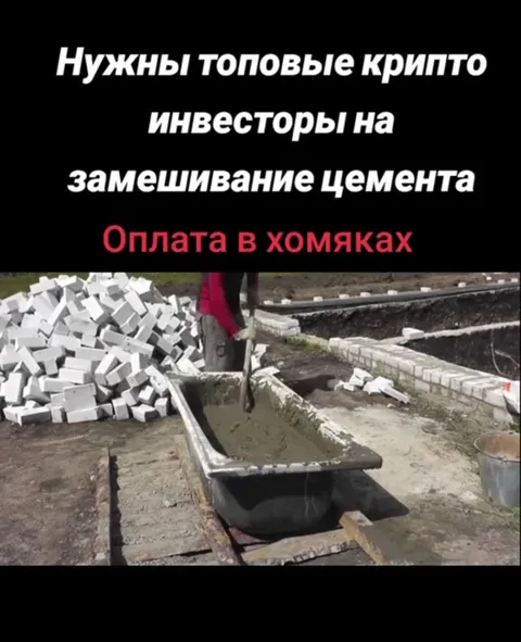 Оплата в хомяках за цемент