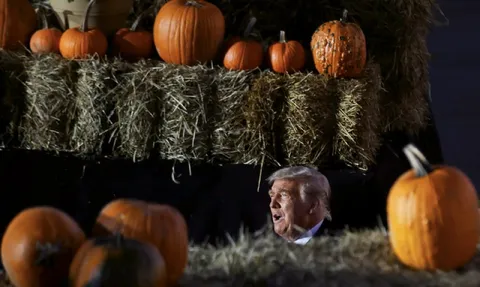 Трамп среди тыкв