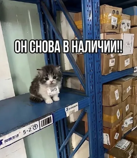 Он снова в наличии