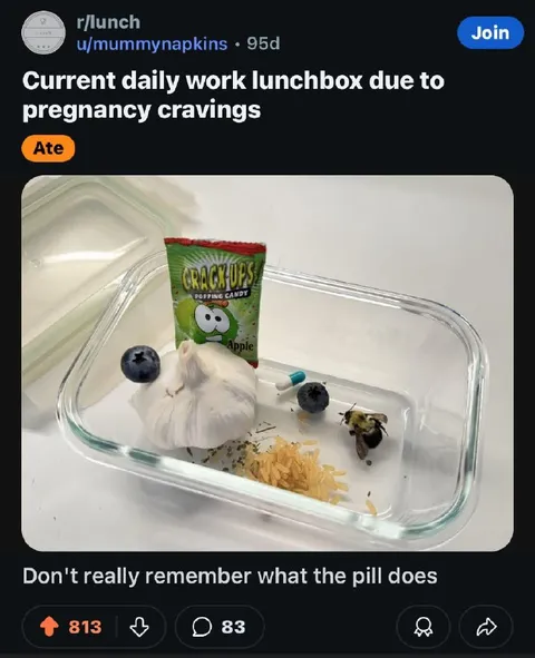 Pregnancy Cravings Lunchbox