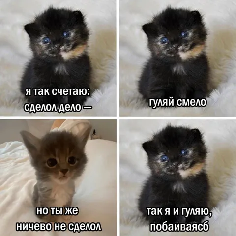 Сделал дело — гуляй смело