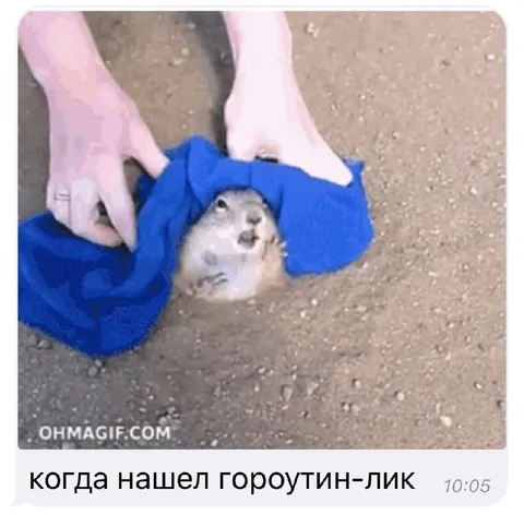Когда нашёл гороутин-лик