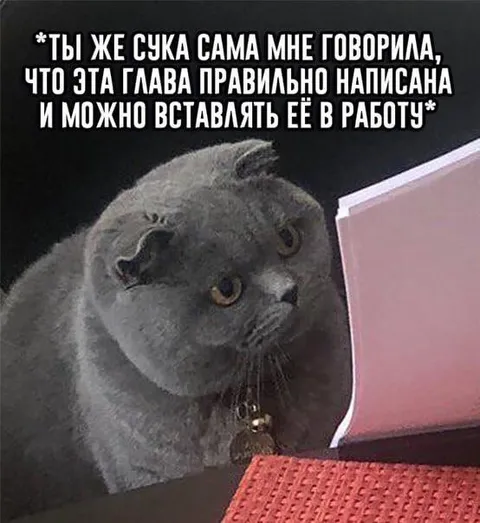 Кот проверяет правильность главы