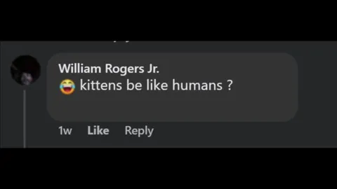 Kittens Be Like Humans