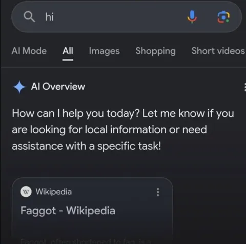 Google AI Searches Faggot