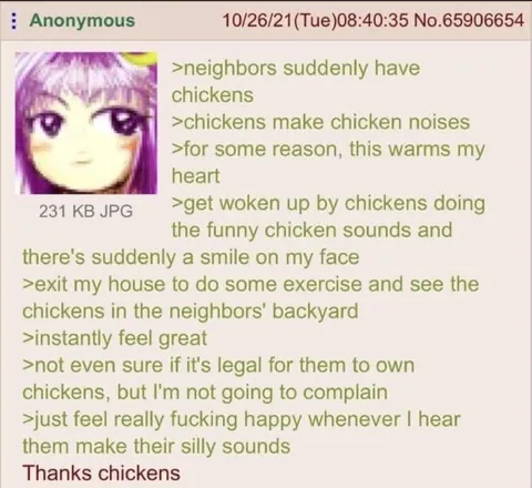 Chickens Make Me Happy