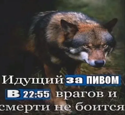 Идущий за пивом в 22:55