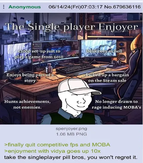 The Single Player Enjoyer