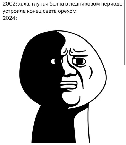 Белка устроила конец света