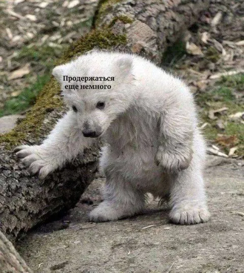 Продержаться еще немного