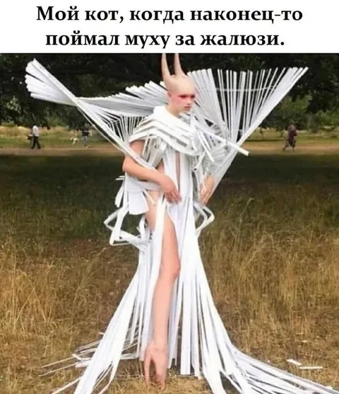 Кот поймал муху за жалюзи