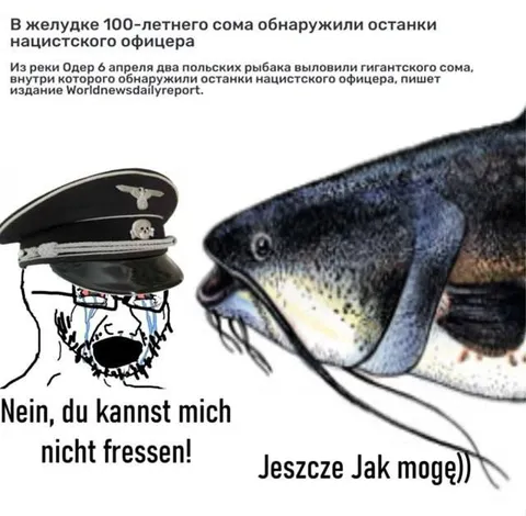 Сом не может съесть офицера
