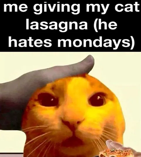 Cat Gets Lasagna on Monday