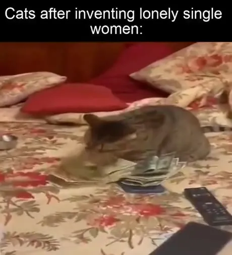 Cats Invent Lonely Single Women