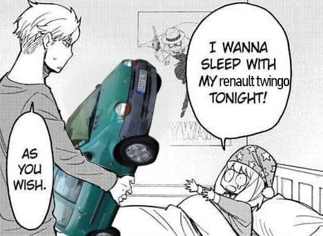 Sleep With My Renault Twingo