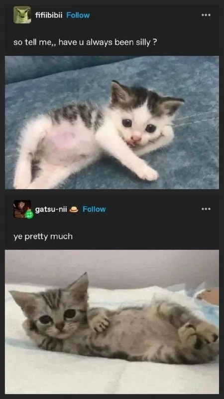 Have You Always Been Silly