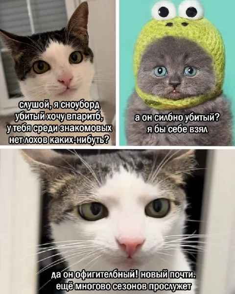 Почти новый убитый сноуборд