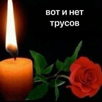 Вот и нет трусов