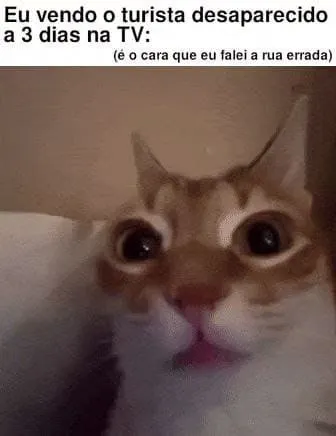 Gato vê turista desaparecido na TV