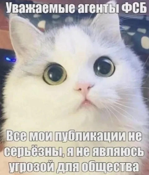 Кот оправдывается перед ФСБ