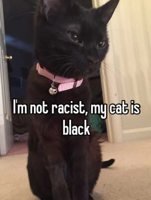 Not Racist Black Cat