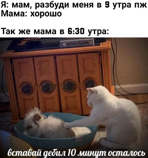 Мама будит на десять минут раньше