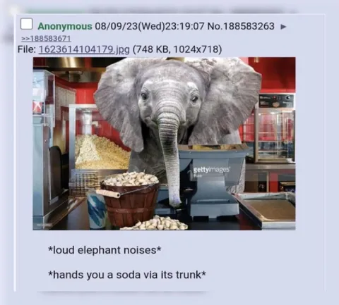 Elephant Gives You a Soda