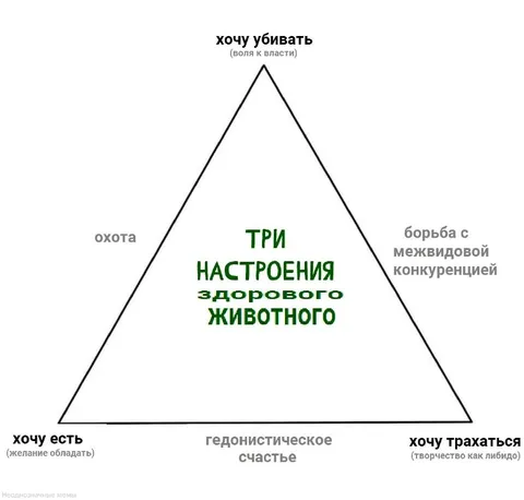 Три настроения здорового животного