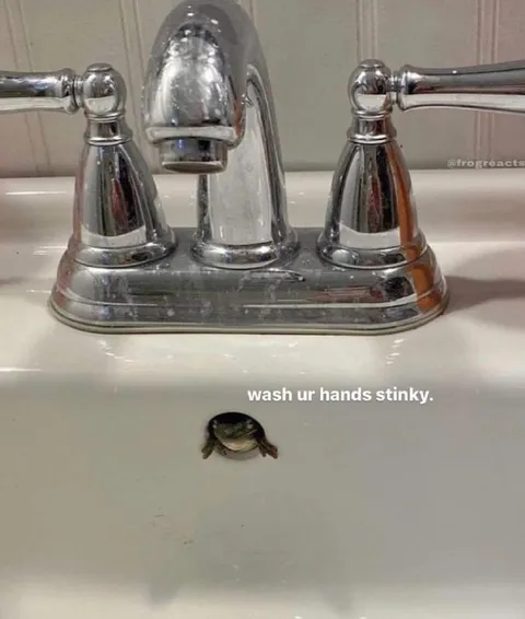 Wash Your Hands Stinky Frog