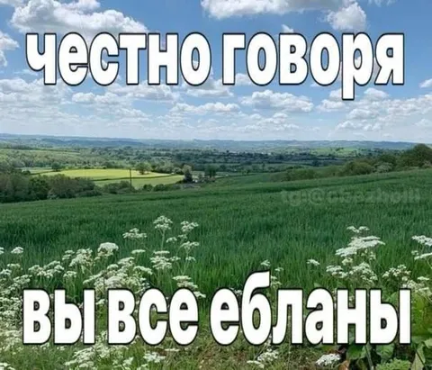 Честно говоря, вы все ебланы