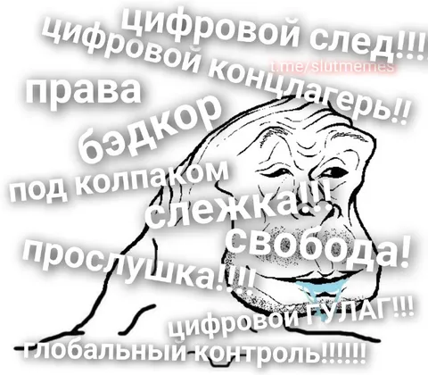 Цифровой концлагерь и слежка