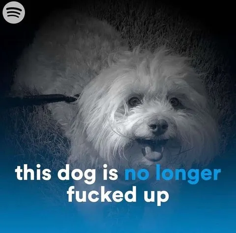 Dog Is No Longer Fucked Up