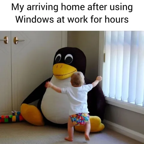 Coming Home After Windows at Work