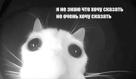 Очень хочу что-то сказать