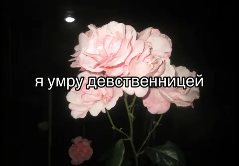 Умру девственницей