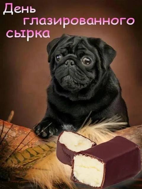 День глазированного сырка