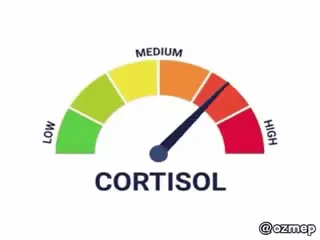 Cortisol Gauge Swing