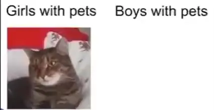 Girls and Boys With Pets