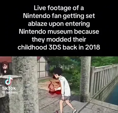 Nintendo Fan Enters the Museum